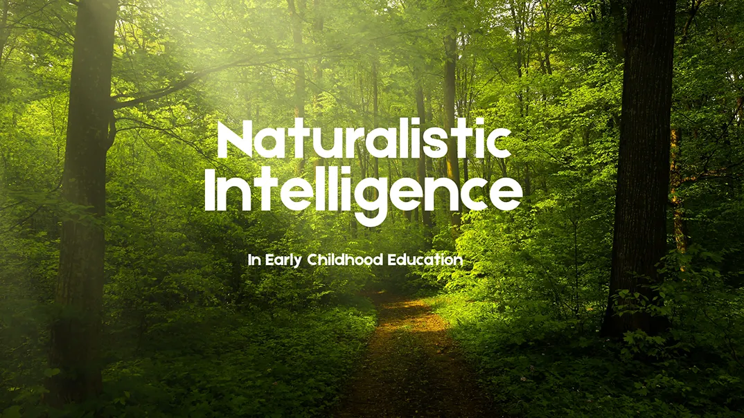 Naturalistic Intelligence