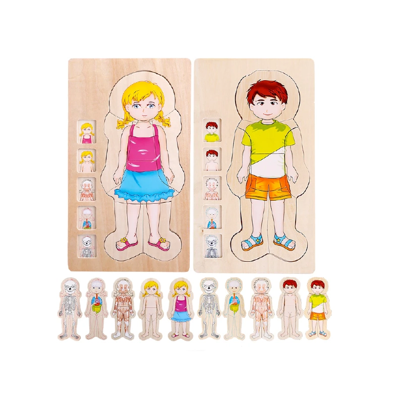 My Body Layer Puzzle