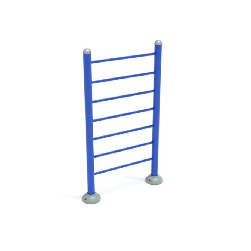 Single Vertical Ladder